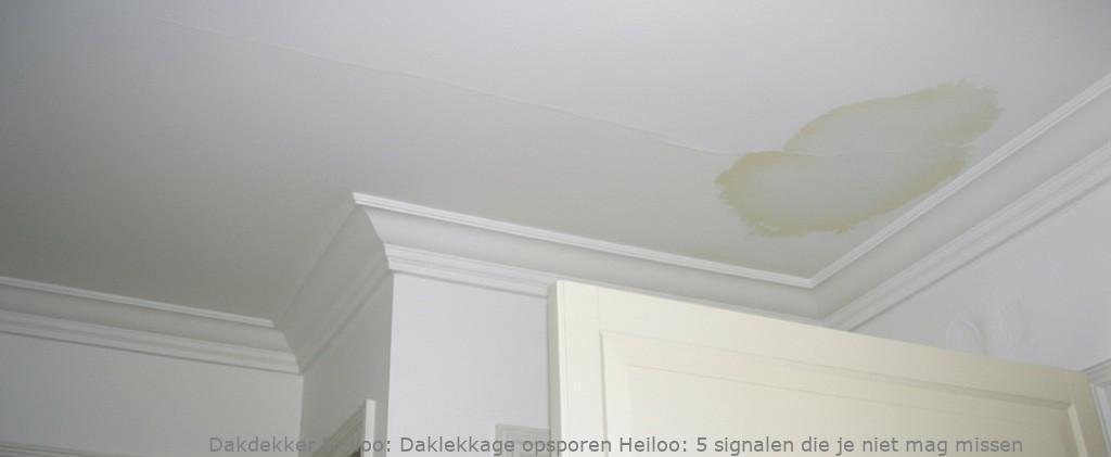 Daklekkage Opsporen Heiloo 1
